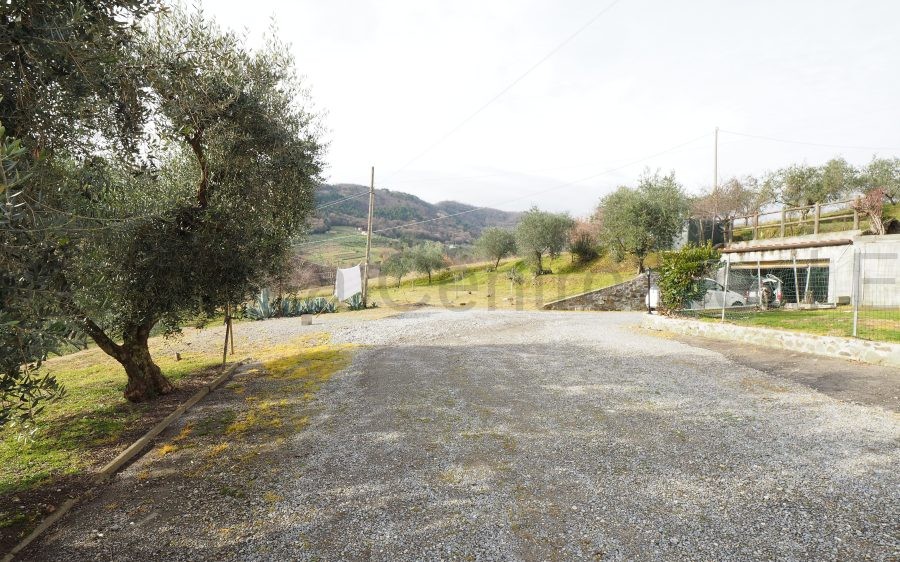 Colline di Ponte a Moriano