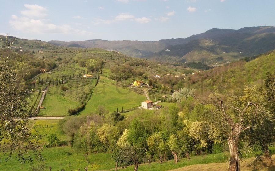 Colline di Ponte a Moriano