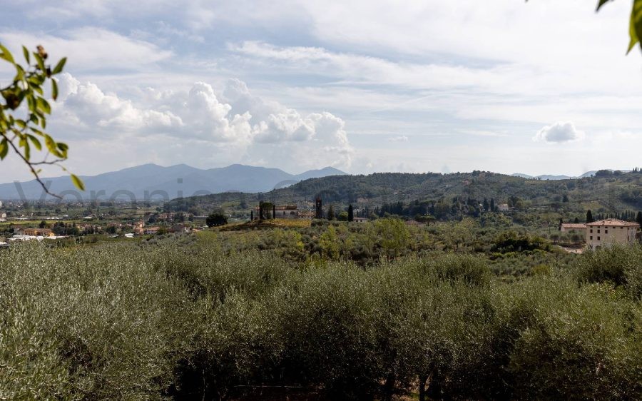 Villa Storica con Limonia e Piscina
