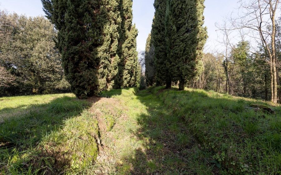 Villa Storica sulle Colline Lucchesi