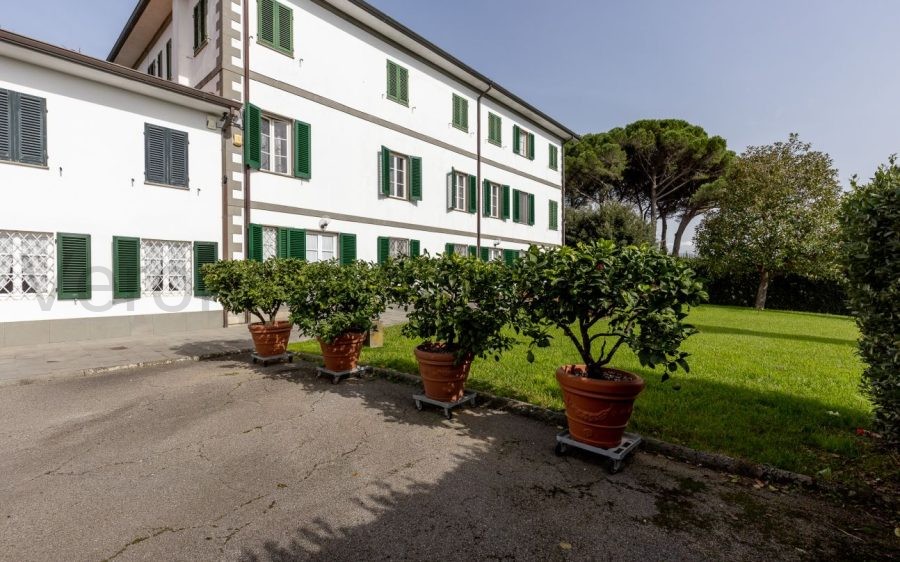 Ampia Villa sulle Colline Lucchesi