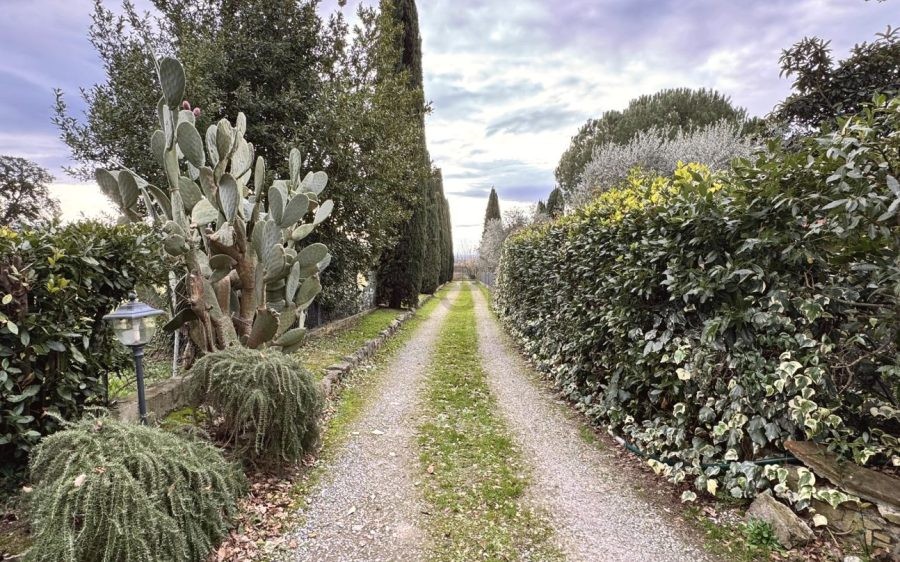 Porzione di Casale nella campagna di Montecarlo
