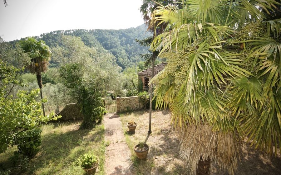 Villa Padronale con Fienile e Uliveto