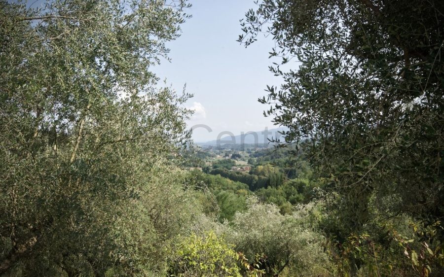 Villa Padronale con Fienile e Uliveto