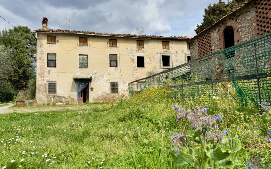 Podere nelle Colline Lucchesi