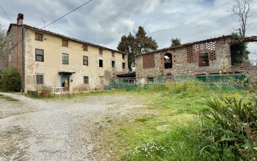 Podere nelle Colline Lucchesi