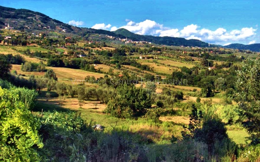 Podere nelle Colline Lucchesi