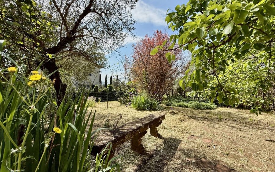 Villa Singola sulle Colline di Montecarlo