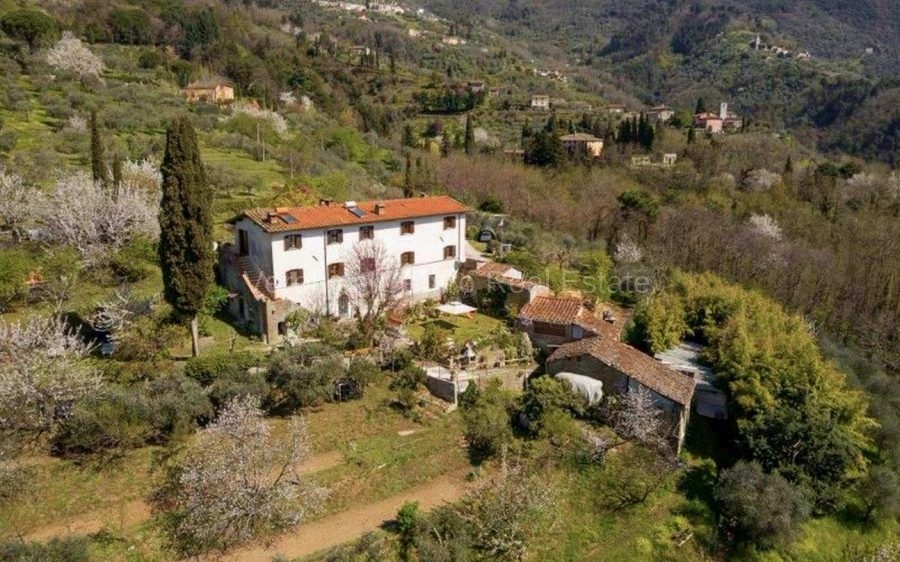 Casale panoramico tra le Colline Lucchesi