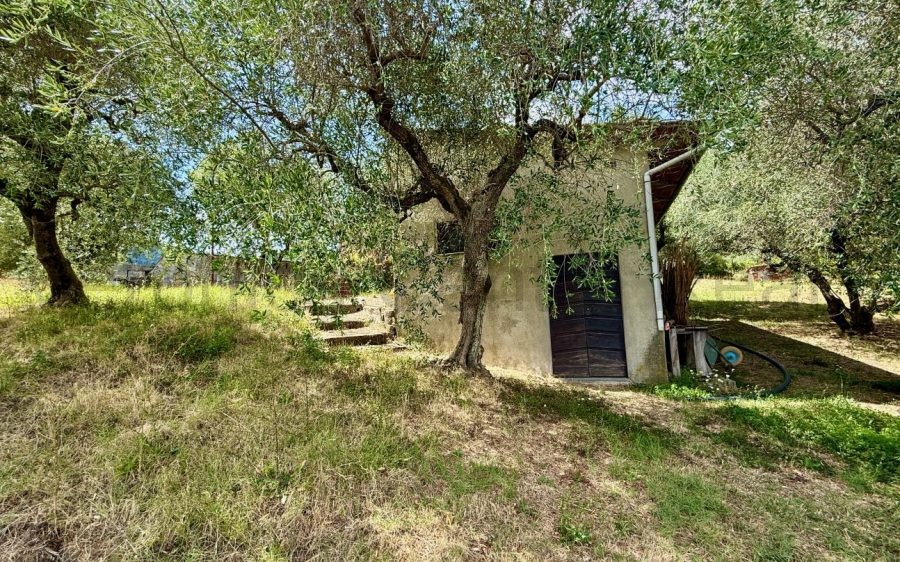 Villa con vista panoramica, circondata da vigneto e oliveto sulle colline lucchesi