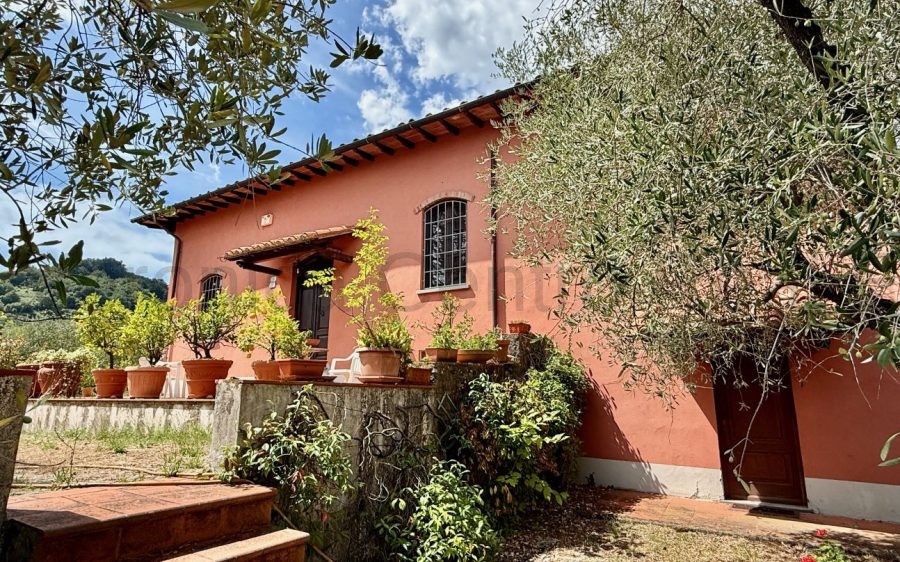 Villa con vista panoramica, circondata da vigneto e oliveto sulle colline lucchesi